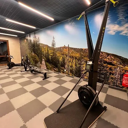 Park A3- Zloty Jelen- Z Dostepem Do Basenu, Sauny, Jacuzzi, Silowni Apartmán Sklářská Poruba